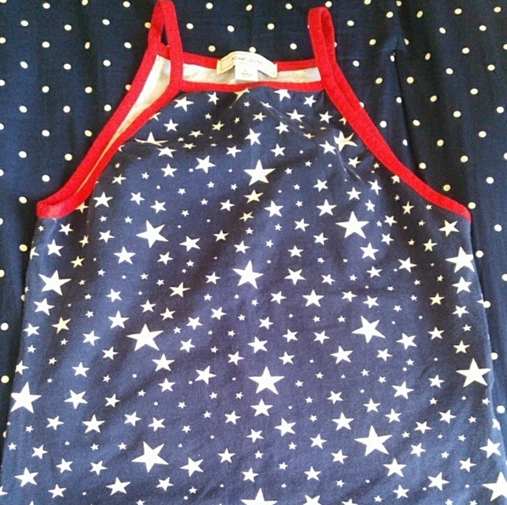 Star Crop Top